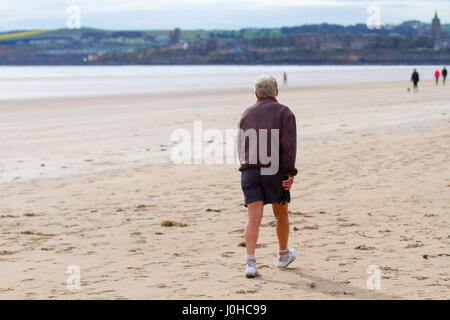 St. Andrews, Schottland. 14. April 2017. Großbritannien Wetter. Kälte mit Licht Wind und ruhiger See an der Küste als Morgen Spaziergänger und Jogger genießen umfangreiche Sand der Weststrand. Kredite; MediaWorldImages/AlamyLiveNews Stockfoto