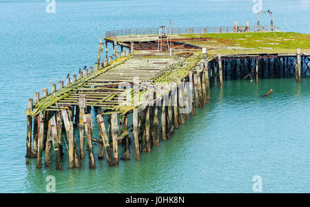 Fäulnis Holzmole in das Meer auf dem Solent aufgegeben. Stockfoto