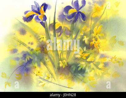 Forsythien und Iris Aquarell Blumen. Frühling-Abbildung Stockfoto