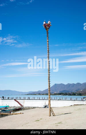 Danza de Los Voladores (Tanz der Flyer) oder Palo Volador (Pole fliegen), Chapala, Jalisco, Mexiko. Stockfoto