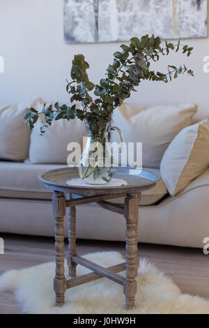 Glaskanne mit Zweigen der decoratory Eukalyptus Stockfoto