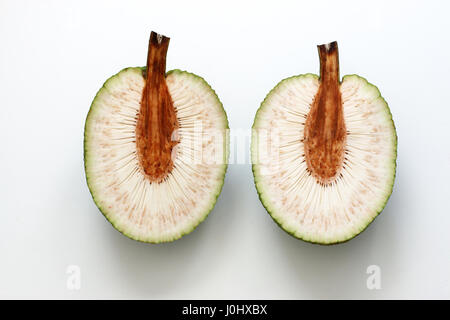 Frische Brotfrüchte oder Brotnuß oder auch bekannt als Artocarpus Altilis auf weißen Hintergrund isoliert Stockfoto