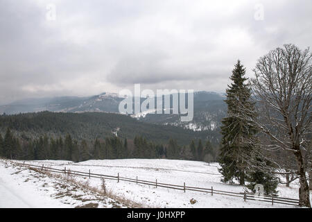 Skifahrer und Snowboarder auf Pisten der Ski resort Bukovel, Ukraine. Stockfoto