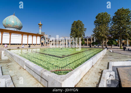 Pool auf einem Hof der Moschee und Mausoleum von Shah Cheragh in Shiraz, Hauptstadt der Provinz Fars im Iran Stockfoto