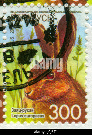 GOMEL, WEIßRUSSLAND, 10. APRIL 2017. Briefmarke gedruckt in Belarus zeigt Bild von The Lepus Europaeus, circa 2008. Stockfoto