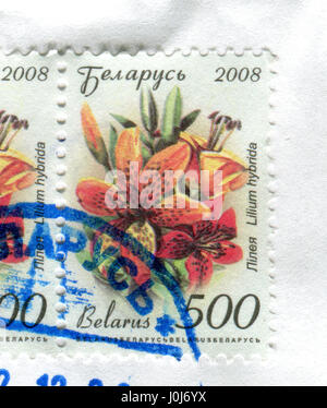 GOMEL, WEIßRUSSLAND, 11. APRIL 2017. Briefmarke gedruckt in Belarus zeigt das Lilium Hybrida, circa 2008. Stockfoto