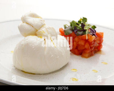 Büffel-Mozzarella mit Tomaten-Tatar auf weißem Hintergrund Stockfoto