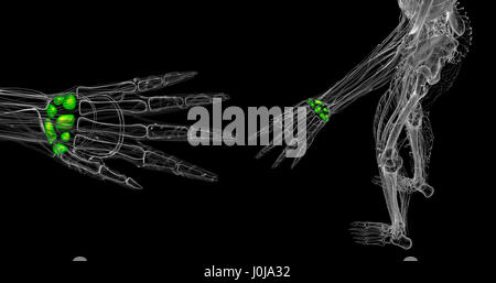 3D gerenderte Darstellung der menschlichen Handwurzelknochen Stockfoto