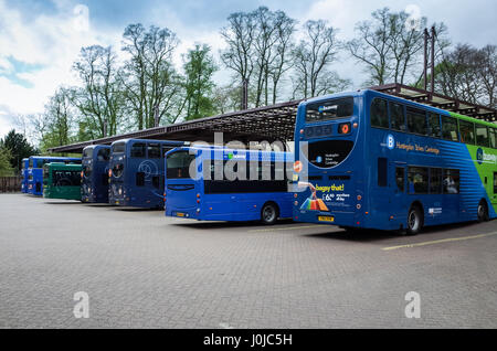 Busse an der Drummer Street Busbahnhof in Cambridge Großbritannien Stockfoto