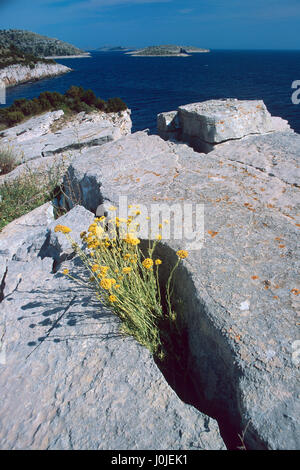 Naturpark Telašćica Stockfoto