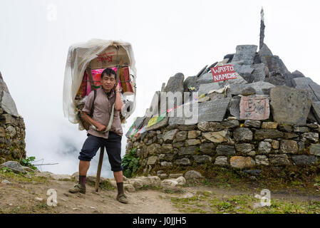 Ein Portier trägt 50 kg in Tengboche, Nepal. Foto © robertvansluis.com Stockfoto