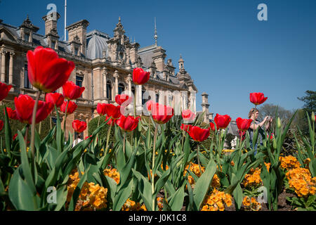 Waddesdon Manor Garten, ein toller Ort, um mit Ihrer Familie besuchen. Ein Meisterwerk, der im Besitz der berühmten Rosthild Familie war Stockfoto