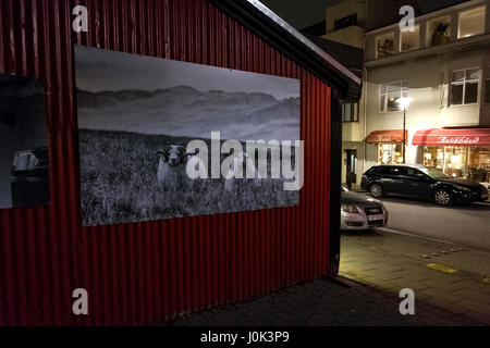 Fótógrafí Phtography Shop, Reykjavik Stockfoto