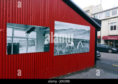 Fótógrafí Phtography Shop, Reykjavik Stockfoto