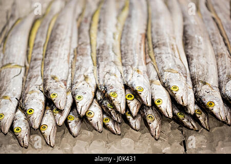 Aale auf Fischmarkt Stockfoto