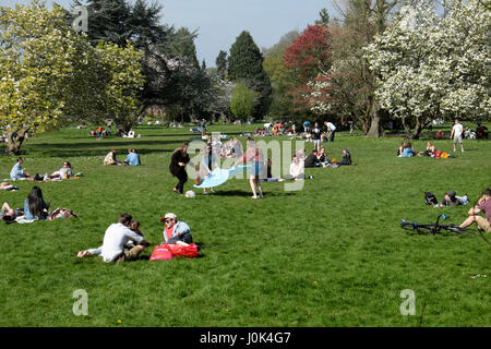 Menschen entspannen auf der sonnigen Tag genießen Frühlingsblüten im Bute Park, Cardiff Wales UK KATHY DEWITT Stockfoto