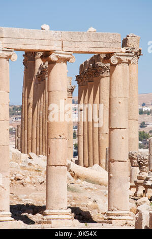 Jordanien: Ionische Säulen des Oval Plaza, Hauptplatz der Stadt Jerash, und der Cardo Maximus, der Colonnaded Straße, Mittelpunkt des alten Gerasa Stockfoto