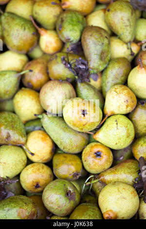 Williams gelbe und grüne Birnen in Container Apfelwein Produktion Stockfoto