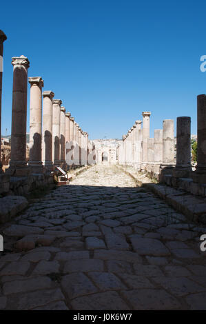 Der Cardo Maximus, der Colonnaded Straße, welche die architektonische Wirbelsäule und Mittelpunkt der archäologische Stadt Jerash, Gerasa des Altertums war Stockfoto