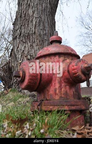 Eine Nahaufnahme der Hydranten mit einem Baum im Hintergrund Stockfoto