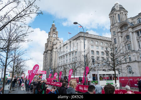 Liverpool-Halbmarathon, Ziellinie, Pier Head, Samba, Musik, Liverpool, Merseyside, England, Weltkulturerbe-Stadt, Stadt, Nord, Nord, England, Englisch, UK. Stockfoto