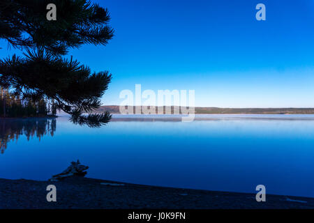 Am frühen Morgen Blick auf Lewis See im Yellowstone National Park Stockfoto