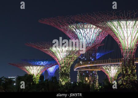 Blick von der Marina Bay Sands in den Gärten an der Bucht, schauen Sie noch am Abend Stockfoto