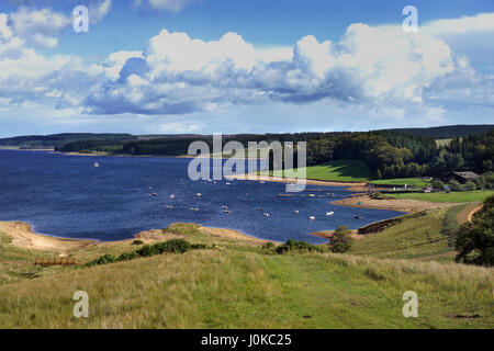 Kielder Reservoir mit Blick auf Leaplish Wasser Park, Northumberland Stockfoto