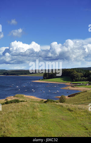 Kielder Reservoir mit Blick auf Leaplish Wasser Park, Northumberland Stockfoto