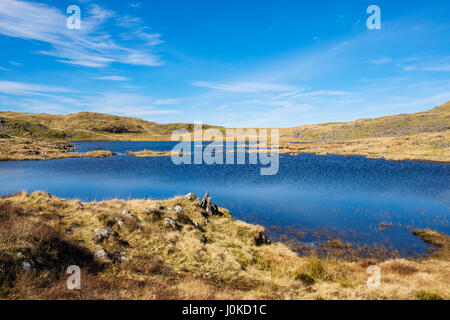 Llyn Gelli gewinnen Stausee im südlichen Snowdonia National Park. Bronaber, Trawsfynydd, Gwynedd, Wales, UK, Großbritannien Stockfoto