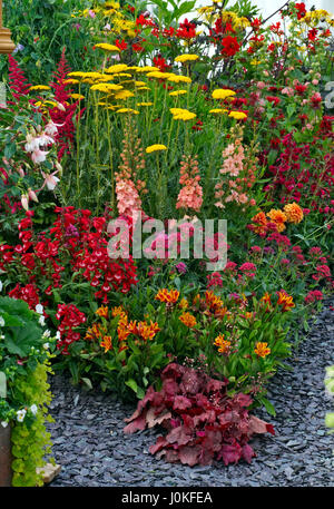 Bunte Garten Grenze mit eine wunderbare Ausstellung von Stauden und mehrjährige Pflanzen Stockfoto