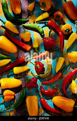 Grün, Rot, Gelb und Orange Paprika auf blauem Hintergrund Stockfoto