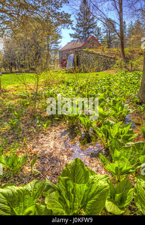 Ungewöhnlicher Blick auf die alte Schrotmühle, eine Eigenschaft von Longfellow's Wayside Inn in Sudbury, Massachusetts. Stockfoto