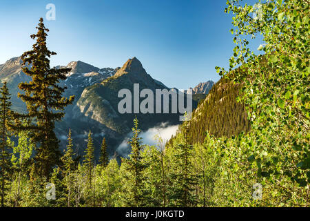 Gipfel über Animas River, Colorado Trail in der Nähe von Molas Pass, San Juan Mountains, Colorado USA Stockfoto