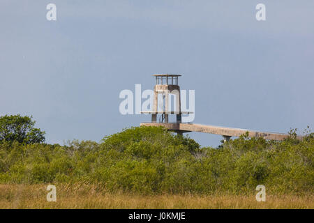 Die Shark Valley Aussichtsturm in der Shark Valley Gegend von Florida Everglades Nationalpark Stockfoto