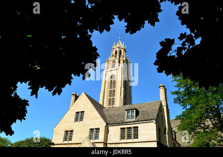 Memorial Art Gallery, Rochester.NY Stockfoto