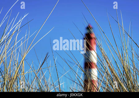 Leuchtturm in Sanddünen an der kleinen nordfriesischen Insel Amrum in Schleswig-Holstein, Deutschland Stockfoto