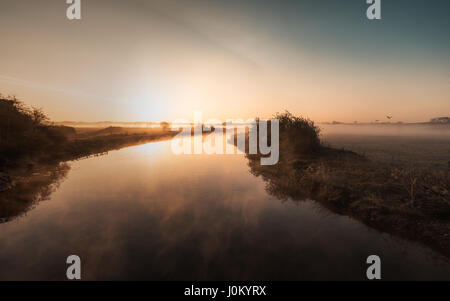 Nebel hängt über den Fluss Nene und umliegende Felder an einem schönen klaren Morgen im Frühjahr an Woodford Schleuse in Northamptonshire, England bei Sonnenaufgang Stockfoto