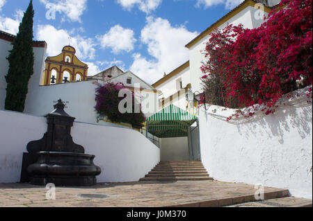 Urbanen Blick auf eine Straße in Malaga, Spanien, mit seinen charakteristischen weißen Gebäuden. Stockfoto