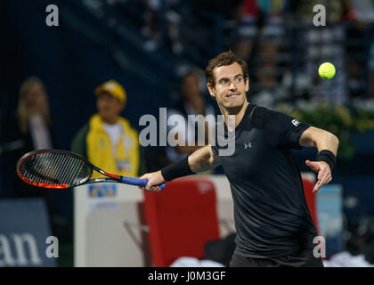 ANDY MURRAY (GBR) feiern Stockfoto