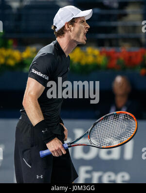 ANDY MURRAY (GBR) feiern Stockfoto