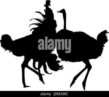 afrikanische tiere silhouetten. schwarz / weiß-silhouetten