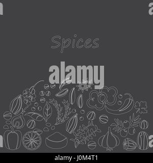 Vektor hand gezeichnete Set mit Kräuter Gewürze Stock Vektor
