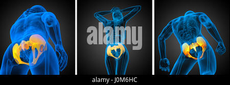 3D Rendering medizinische Illustration der Becken-Knochen Stockfoto