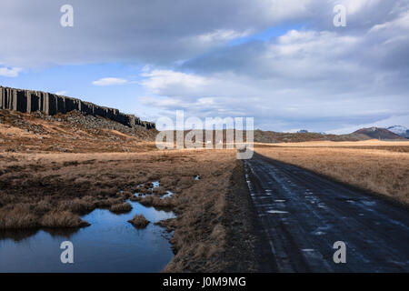 Die Gerðuberg Basalt Felsen Spalten auf der Halbinsel Snæfellsnes (Snaefellsnes), West-Island Stockfoto