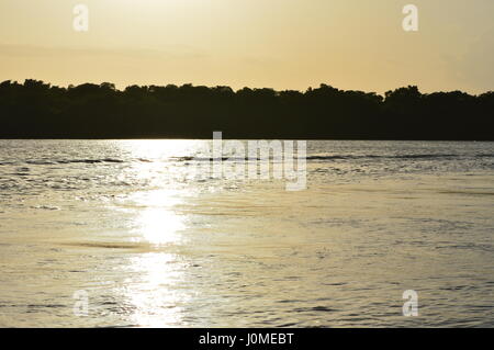 Bilder, die während der Tour von Caroni Bird Sanctuary, Trinidad und Tobago Stockfoto