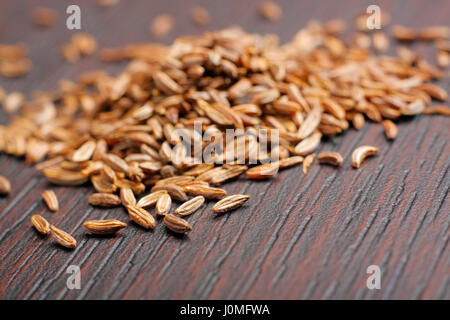 Kümmel (Carum Carvi) auf dunklen Tisch. Nahaufnahme Foto. Stockfoto