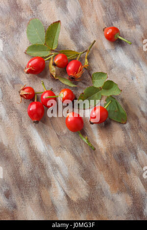 Wilde rose Früchte mit Laub über bemalte Textilien Hintergrund. Draufsicht. Stockfoto