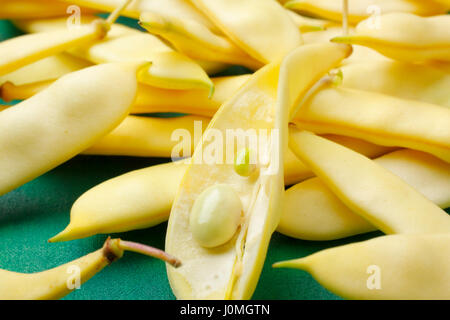 Flache gelbe Wachsbohnen mit einem geöffneten Bohne pod Stockfoto