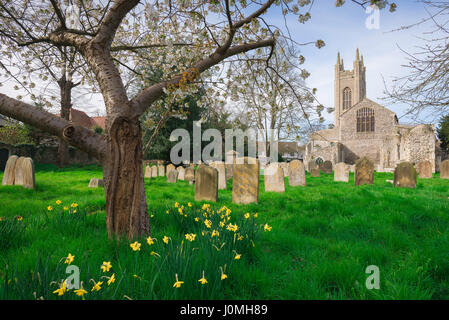 Bungay, Suffolk, dem Friedhof der St. Marys Kirche im Zentrum von Suffolk Stadt von Bungay, Frühling, UK Stockfoto